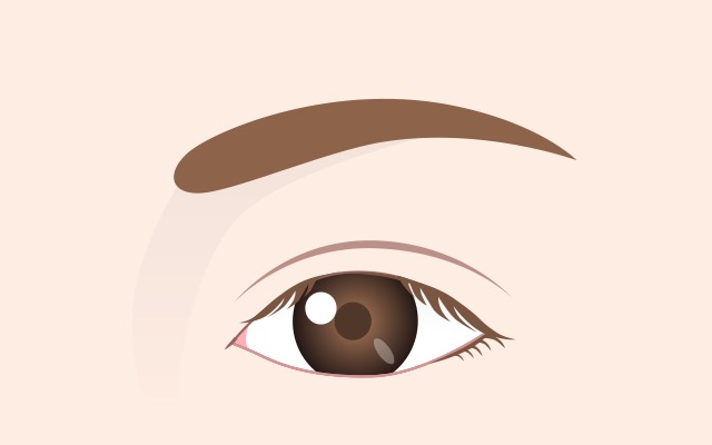 正常なまぶたによる開眼